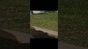 обзор на мой двор с Маней