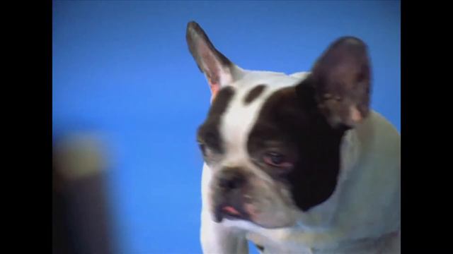 Chappi Football 2 смотреть онлайн