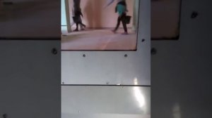 Подъемная платформа с вертикальным перемещением модели БК А 110 для инвалидов