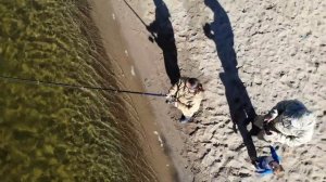 Охота на хариуса  Хакасия, Белый Июс