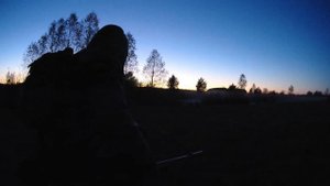 Взял крупного бобра из мелкашки