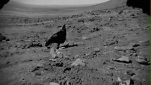 NASA зафиксировала живое существо на планете МАРС