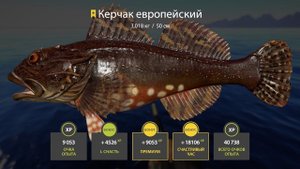ОТЛИЧНЫЕ ПРИМАНКИ ДЛЯ ФАРМА НА НОРВЕЖСКОМ МОРЕ В РУССКОЙ РЫБАЛКЕ 4 РР4