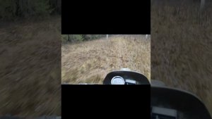 ???обзор на Yamasaki fmx 125 ???