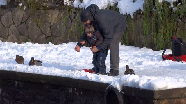 дедушка и внук или внучка на прогулке в Риге