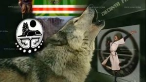 Чеченская музыка роза