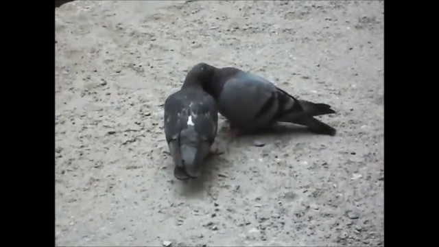 Только любовь