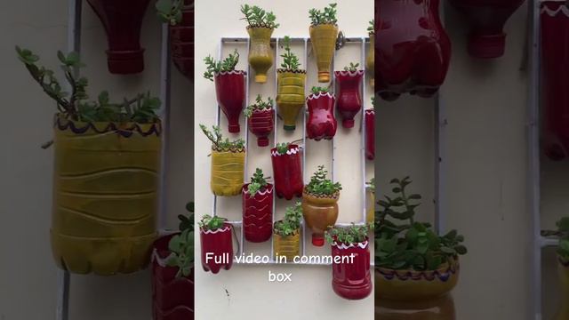 Plastic ki botlo se banaya vertical garden #creativity #diy #zed #viral