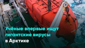 Учёные впервые ищут гигантские вирусы в Арктике