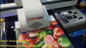 TODOjet A2 size UV printer