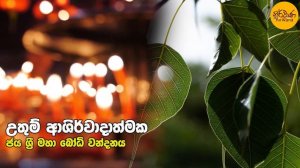 Bodhi Pooja Kavi - ආශිර්වාදාත්මක බෝධි පුජා කවි