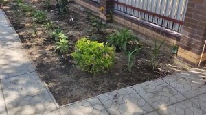 Бюджетное благоустройство участка 6 соток в Подмосковье