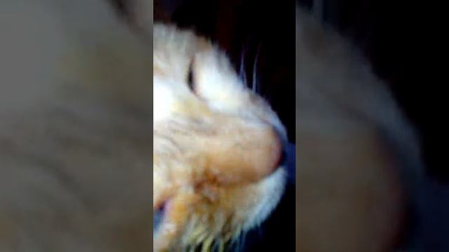 Феня - ЗАболел смотреть онлайн