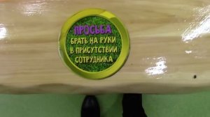 КОНТАКТНЫЙ ЗООПАРК В ТЮМЕНИ Развлечения для детей Entertainment for children zoo