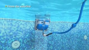 Dolphin Робот для чистки бассейна