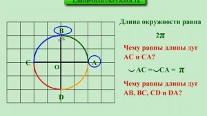 10 класс. Алгебра. Единичная окружность.