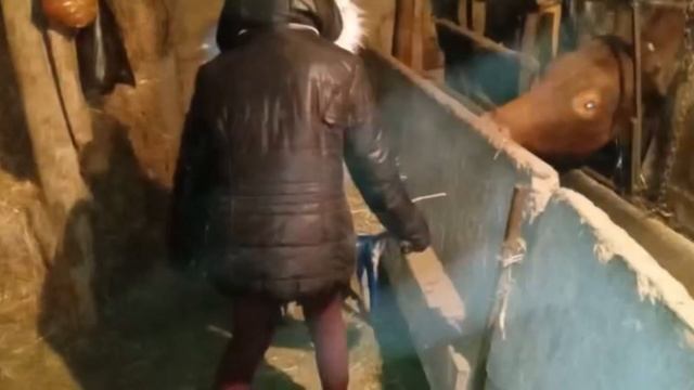 УРА ? ВРУЧЕНИЕ СЕРТИФИКАТОВ У МЕНЯ В ГОСТЯХ @pro_vkusno1102 Я ДОЮ КОРОВУ?ВЫ ТАКОГО ЕЩЁ НЕ ВИДЕЛ смотреть онлайн