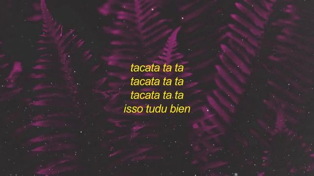 Tiagz - Tacata (Lyrics) | i don't speak portuguese i can speak ingles смотреть онлайн