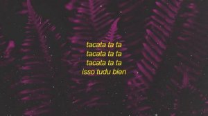 Tiagz - Tacata (Lyrics) | i don't speak portuguese i can speak ingles