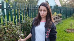 Как посадить алычу | Сорт "Комета Кубанская"