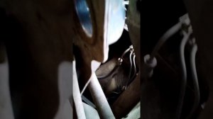 Как поменять салейнтблоки на подрамнике Ауди 80