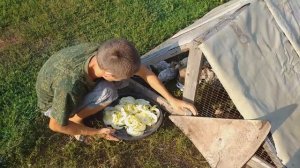 Кормление утят и цыплят без зерна.