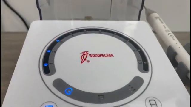 Scaler Ultrasónico U600 LED Woodpecker