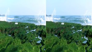 LG_3D_HD.Club.tw-LaomeiGreenReef(2012)(3D-halfSBS)