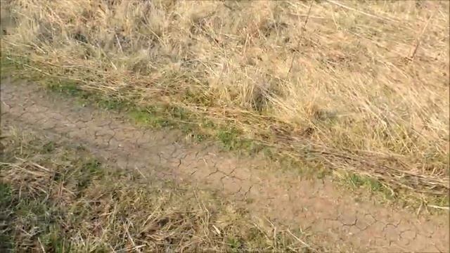 копаю чермет в заброшенной деревне смотреть онлайн