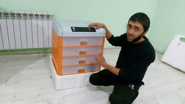 Китайский Инкубатор №1