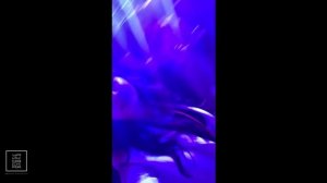 Хабиб Шарипов Ягода Малинка Волгоград ТриЧетыре