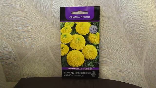 Выращиваем рассаду цветов на продажу.13.02.2019 смотреть онлайн