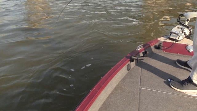 Быстрая замена крючков на тейлспиннере ESOX Циклоп. Жерех на тейлспиннер. Владимир Дружков