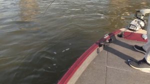 Быстрая замена крючков на тейлспиннере ESOX Циклоп. Жерех на тейлспиннер. Владимир Дружков