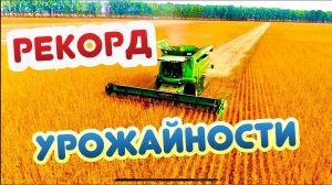 СУЛТАНА - ЭТО ПОХОРОНЫ !!! 
НАШ ЛИЧНЫЙ РЕКОРД УРОЖАЙНОСТИ …