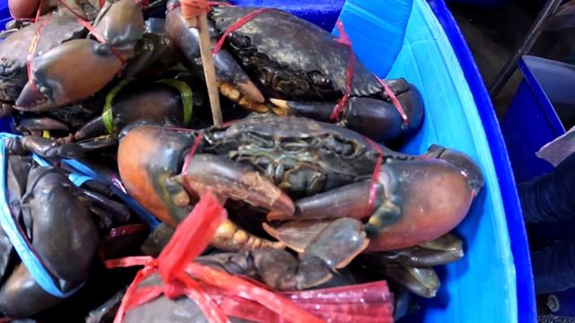 РЫБНЫЙ РЫНОК «НАКЛУА» В ПАТТАЙЕ, НА БАЙКЕ ПО МОРЮ