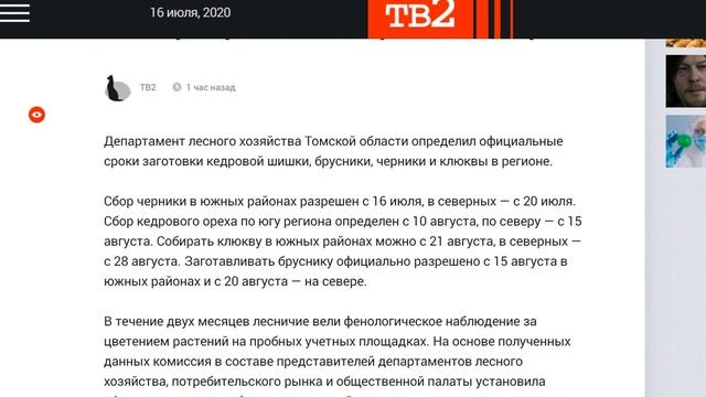 Когда можно собирать шишку, чернику и клюкву опубликованы официальные сроки смотреть онлайн