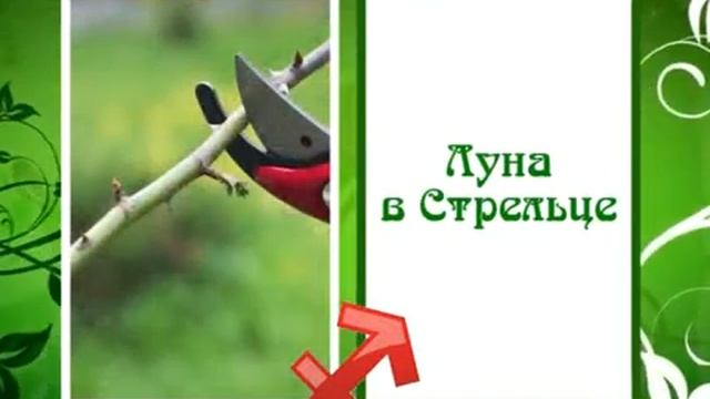 Тачка советов. Советы луны: луна в стрельце