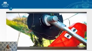 Ожоги от борщевика: профилактика и лечение