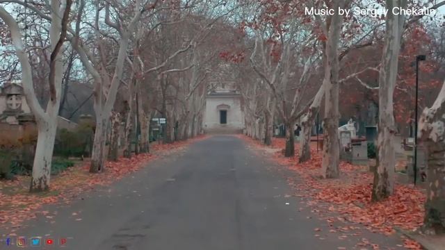 Самая красивая мелодия в мире ? Три месяца я слушала только эту музыку! Слушайте и прочувствуйте #1 смотреть онлайн