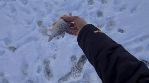 Рыбалка на реке Шиголость на хапуги