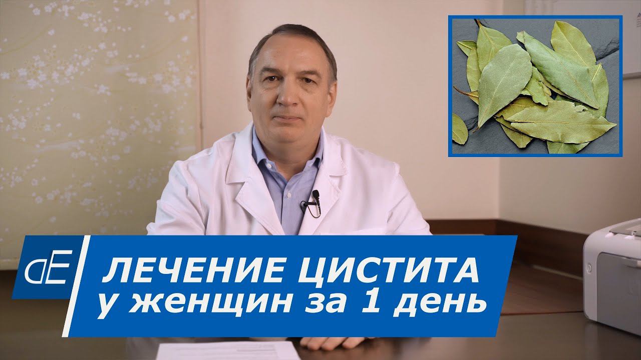 Доктор Евдокименко о почках