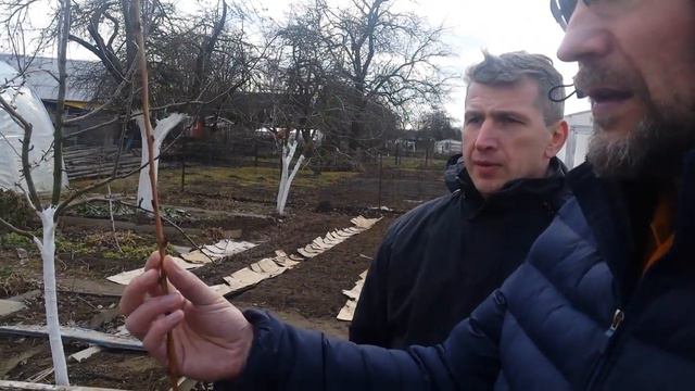 Виноградарь Валерий Помельников. Орша. Часть 2 смотреть онлайн