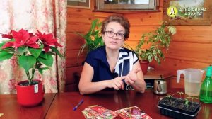 СУПЕР ПЕРЦЫ от Агрофирмы Аэлита! Обзор РАННИХ СОРТОВ, которые НЕ ПОЗДНО ПОСЕЯТЬ СЕЙЧАС!