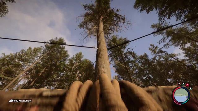 Sons Of The Forest - Building Zipline System / Hindi Gameplay Part 07 смотреть онлайн