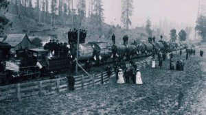 САМЫЕ БОЛЬШИЕ ДЕРЕВЬЯ В МИРЕ