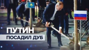 Владимир Путин посадил дерево в Самарканде — видео