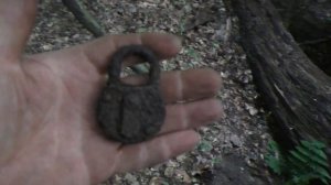 Коп в лесу и на поле с металлоискателем deus xp.