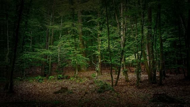 Истории из жизни 📕Кристина не думала, что ее жизнь станет кошмаром после свадьбы 📘 Жизненные истори смотреть онлайн