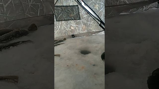 Навага как из бочки смотреть онлайн